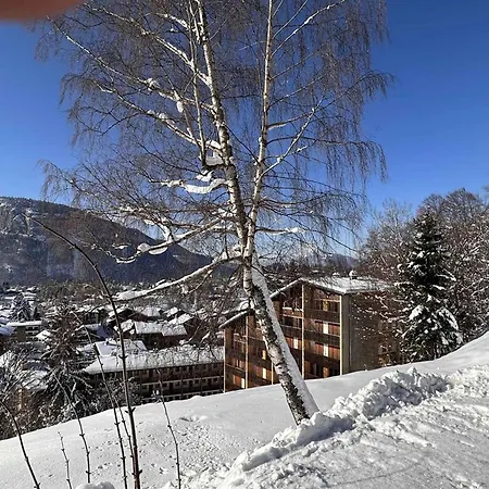 Appartamento Studio-cabine 4 Pers, Centre-village, Balcon Ouest, à 600m Des Pistes - Fr-1-572-281 *